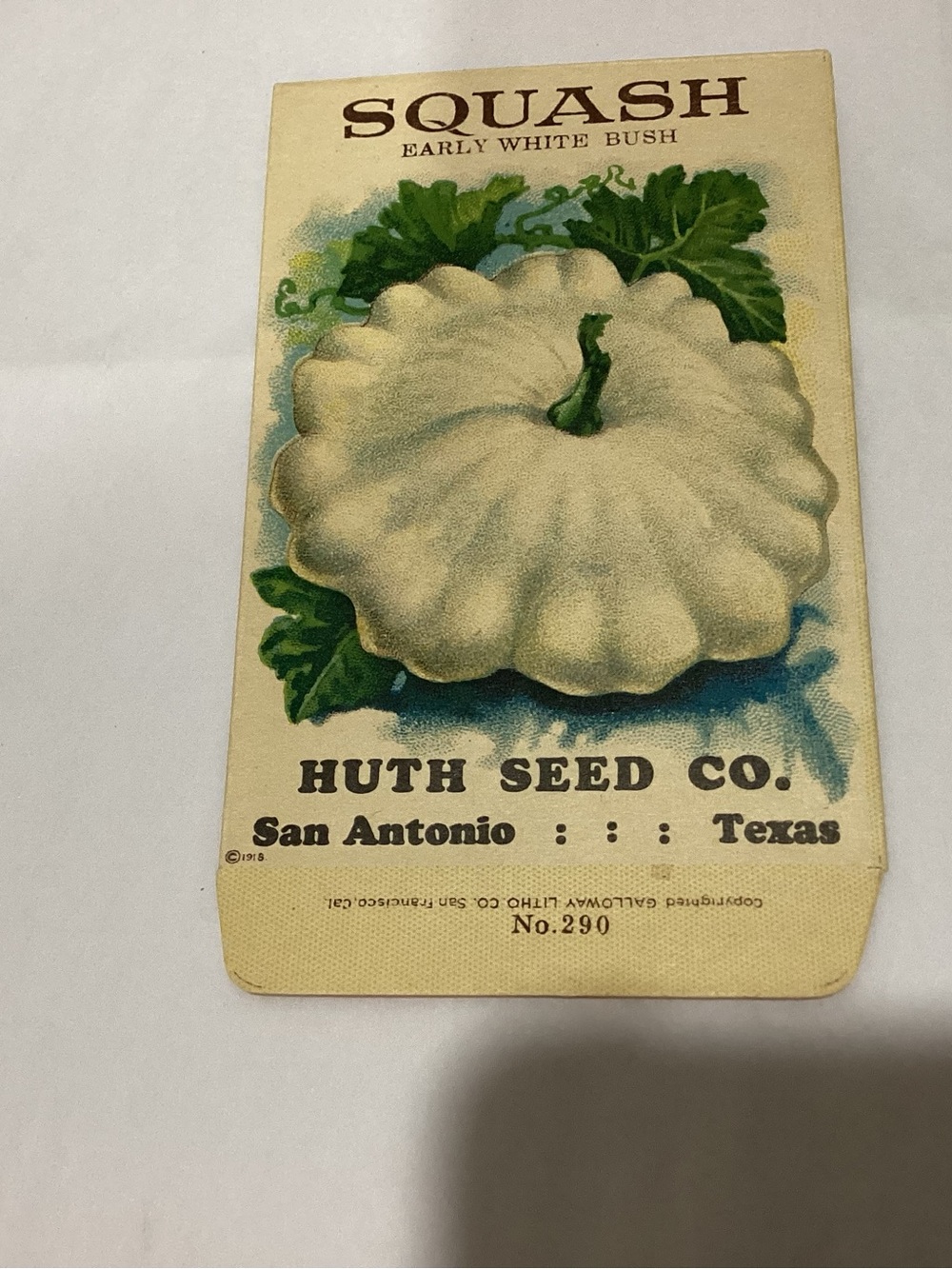 Antique Original unused,old stock recovered from warehouse. SQUASH Early